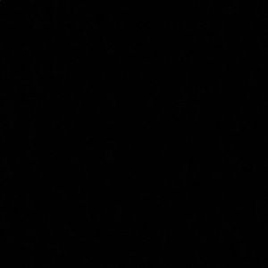 Meet your Posher, Desmond